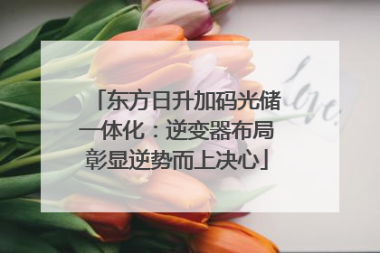 东方日升加码光储一体化：逆变器布局彰显逆势而上决心