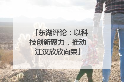 东湖评论：以科技创新聚力，推动江汉欣欣向荣