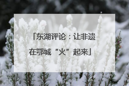 东湖评论：让非遗在鄂城“火”起来