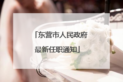 东营市人民政府最新任职通知