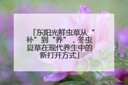 东阳光鲜虫草从“补”到“养”，冬虫夏草在现代养生中的新打开方式