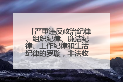 严重违反政治纪律、组织纪律、廉洁纪律、工作纪律和生活纪律的罗璇，非法收受他人巨额财物