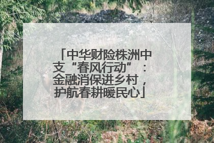 中华财险株洲中支“春风行动”：金融消保进乡村，护航春耕暖民心