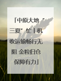 中原大地“三夏”忙丨机收运输畅行无阻 金粒归仓保障有力