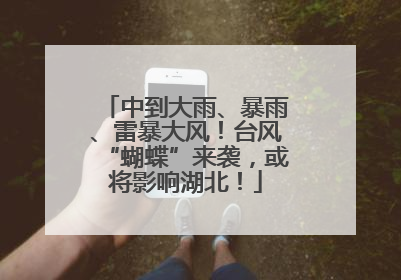 中到大雨、暴雨、雷暴大风！台风“蝴蝶”来袭，或将影响湖北！