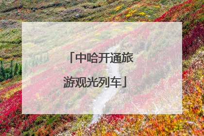 中哈开通旅游观光列车