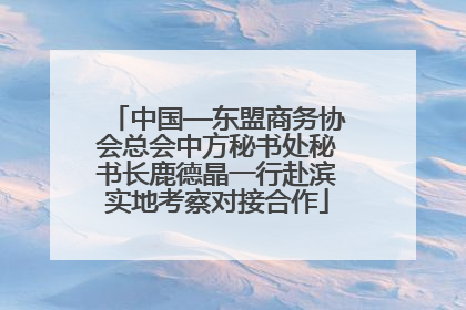 中国—东盟商务协会总会中方秘书处秘书长鹿德晶一行赴滨实地考察对接合作