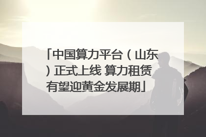 中国算力平台（山东）正式上线 算力租赁有望迎黄金发展期