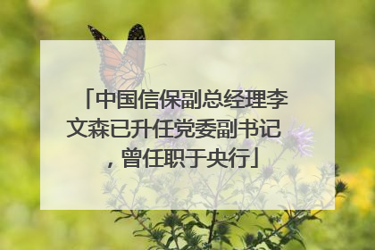 中国信保副总经理李文森已升任党委副书记，曾任职于央行