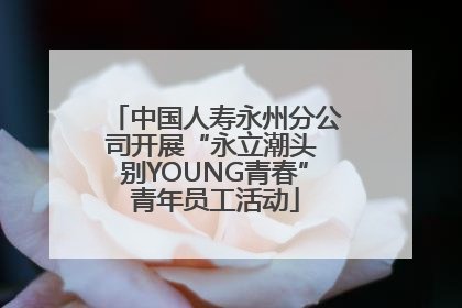 中国人寿永州分公司开展“永立潮头 别YOUNG青春”青年员工活动