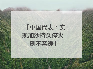 中国代表:实现加沙持久停火刻不容缓