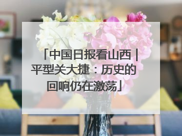 中国日报看山西｜平型关大捷：历史的回响仍在激荡