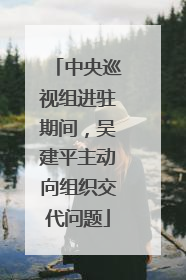 中央巡视组进驻期间，吴建平主动向组织交代问题