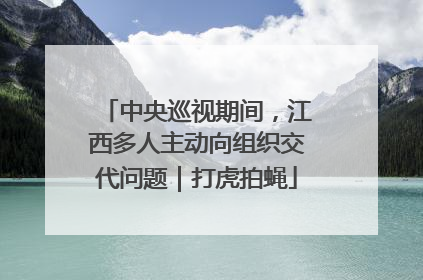 中央巡视期间，江西多人主动向组织交代问题｜打虎拍蝇