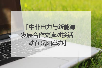 中非电力与新能源发展合作交流对接活动在岳阳举办