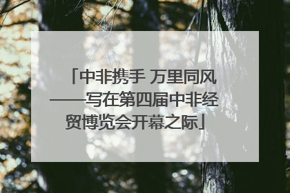 中非携手 万里同风——写在第四届中非经贸博览会开幕之际