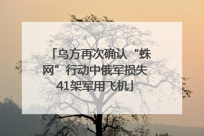 乌方再次确认“蛛网”行动中俄军损失41架军用飞机