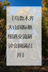 乌鲁木齐天山国际枢纽港交流研讨会圆满召开