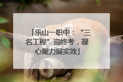 乐山一职中：“三名工程”迎终考，凝心聚力展实效