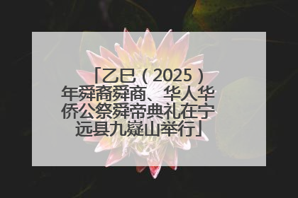 乙巳（2025）年舜裔舜商、华人华侨公祭舜帝典礼在宁远县九嶷山举行