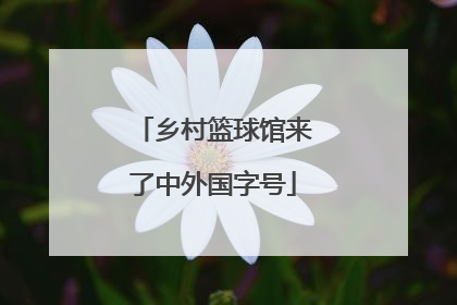 乡村篮球馆来了中外国字号