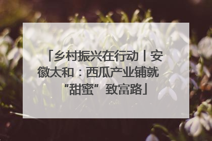 乡村振兴在行动丨安徽太和：西瓜产业铺就“甜蜜”致富路