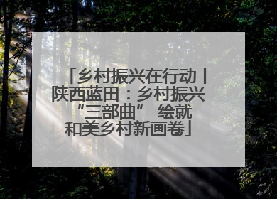 乡村振兴在行动丨陕西蓝田：乡村振兴 “三部曲” 绘就和美乡村新画卷