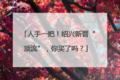 人手一把！绍兴新晋“顶流”，你买了吗？