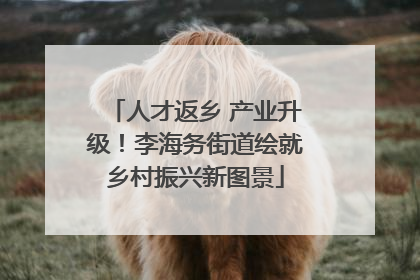 人才返乡 产业升级！李海务街道绘就乡村振兴新图景