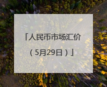 人民币市场汇价（5月29日）