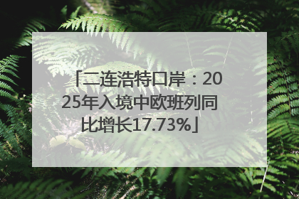 二连浩特口岸：2025年入境中欧班列同比增长17.73%