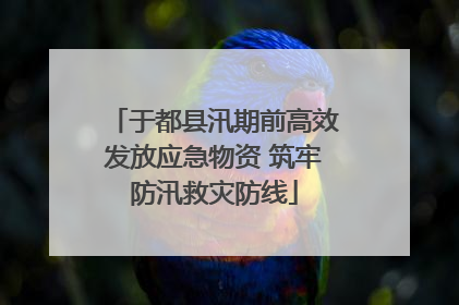 于都县汛期前高效发放应急物资 筑牢防汛救灾防线