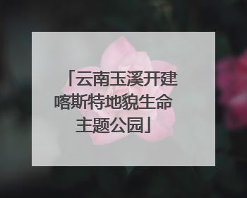 云南玉溪开建喀斯特地貌生命主题公园