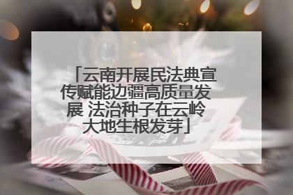 云南开展民法典宣传赋能边疆高质量发展 法治种子在云岭大地生根发芽