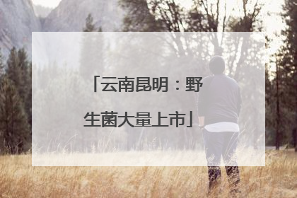 云南昆明：野生菌大量上市