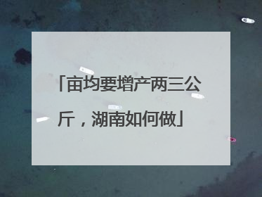 亩均要增产两三公斤，湖南如何做