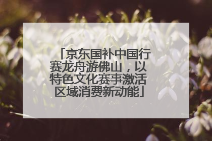 京东国补中国行赛龙舟游佛山，以特色文化赛事激活区域消费新动能
