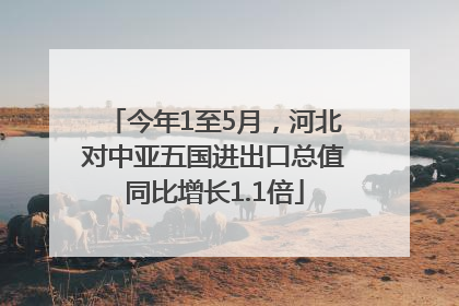 今年1至5月，河北对中亚五国进出口总值同比增长1.1倍