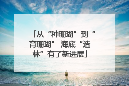 从“种珊瑚”到“育珊瑚” 海底“造林”有了新进展