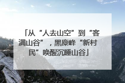 从“人去山空”到“客满山谷”，黑麋峰“新村民”唤醒沉睡山谷