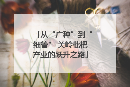 从“广种”到“细管” 关岭枇杷产业的跃升之路