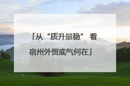 从“质升量稳” 看宿州外贸底气何在
