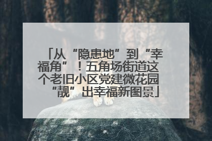 从“隐患地”到“幸福角”！五角场街道这个老旧小区党建微花园“靓”出幸福新图景