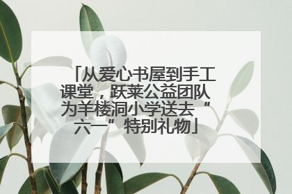 从爱心书屋到手工课堂，跃莱公益团队为羊楼洞小学送去“六一”特别礼物