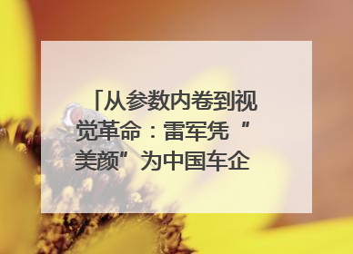 从参数内卷到视觉革命：雷军凭“美颜”为中国车企撕开设计新赛道｜封面车评