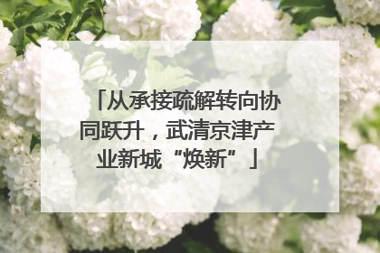 从承接疏解转向协同跃升，武清京津产业新城“焕新”
