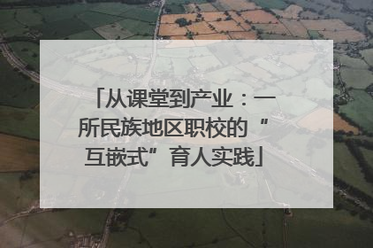 从课堂到产业：一所民族地区职校的“互嵌式”育人实践