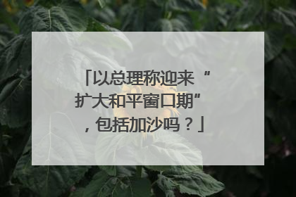 以总理称迎来“扩大和平窗口期”，包括加沙吗？