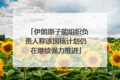 伊朗原子能组织负责人称该国核计划仍在继续强力推进
