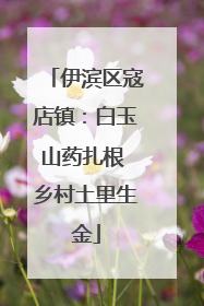 伊滨区寇店镇：白玉山药扎根 乡村土里生金